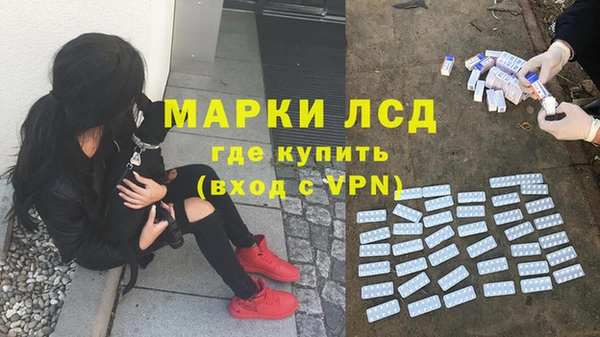 альфа пвп Гусев