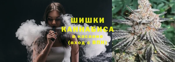 альфа пвп Гусев