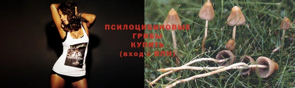 гашиш Гусь-Хрустальный