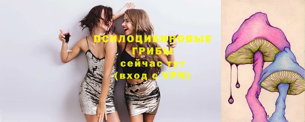 гашиш Гусь-Хрустальный