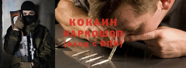 альфа пвп Гусев