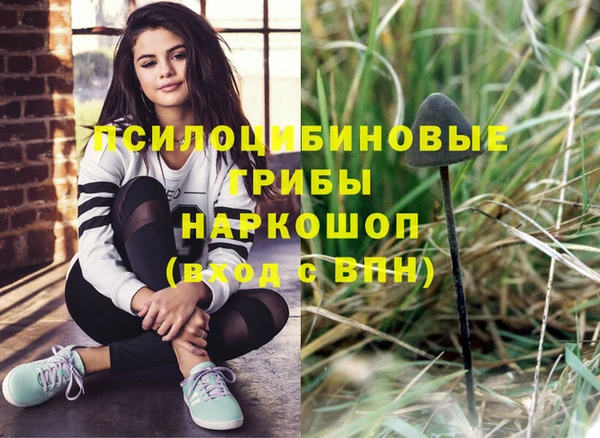 альфа пвп Гусев