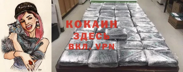 альфа пвп Гусев
