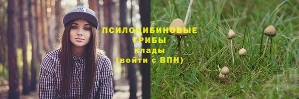 эйфоретик Гусиноозёрск