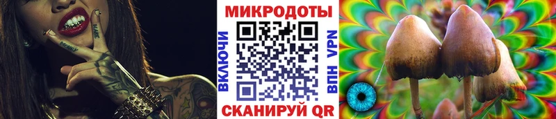Псилоцибиновые грибы Psilocybe  Северская 